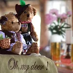 Hotel Gaestehaus Dorf-alm 3*