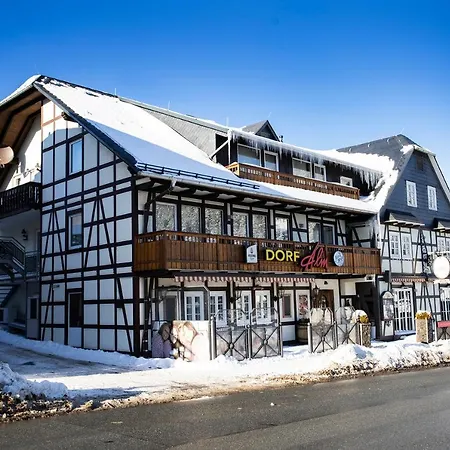 فندق Gaestehaus Dorf-alm 3*