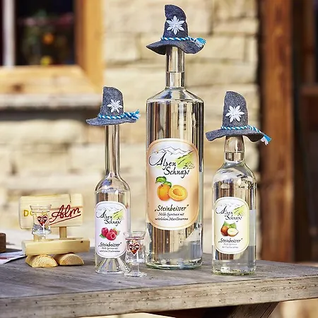 Gastehaus Dorf-alm Willingen (Upland)