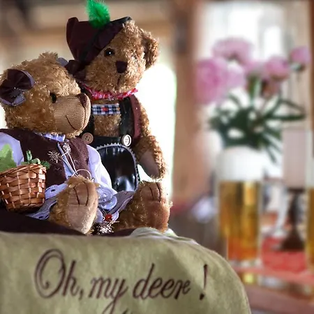 Ξενοδοχείο Gaestehaus Dorf-alm 3*